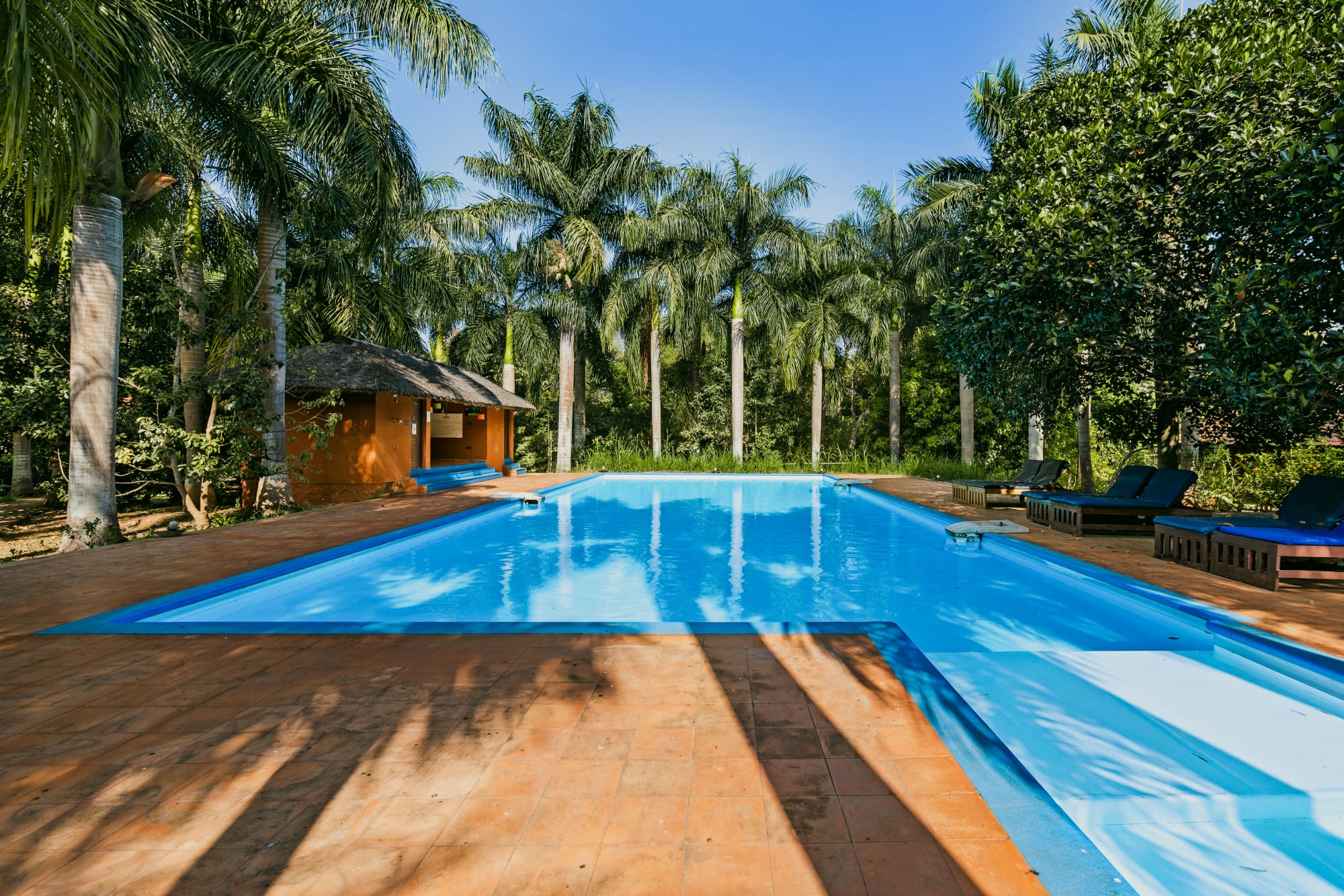 Red Earth Resort photo 13
