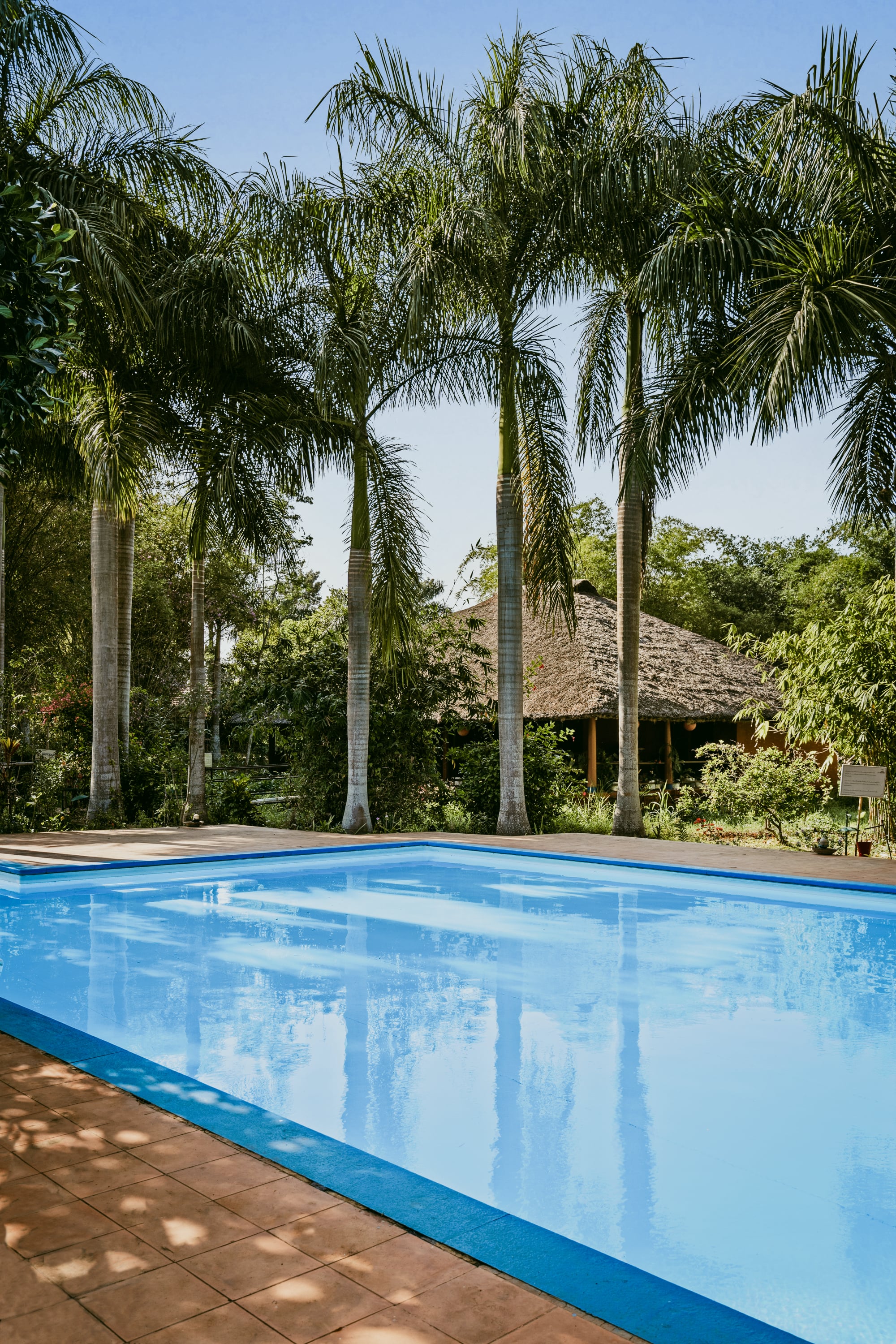 Red Earth Resort photo 15
