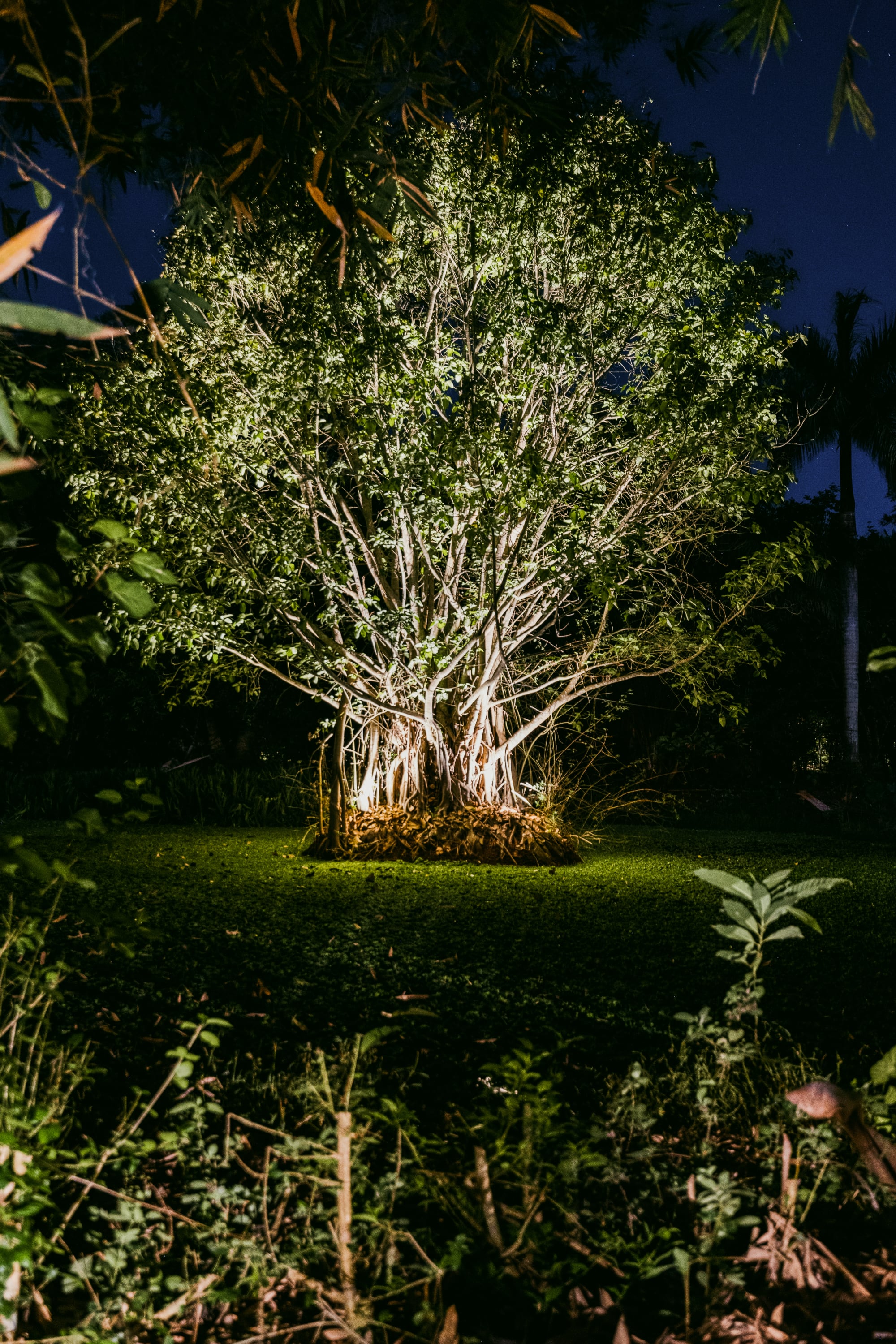 Red Earth Resort photo 27