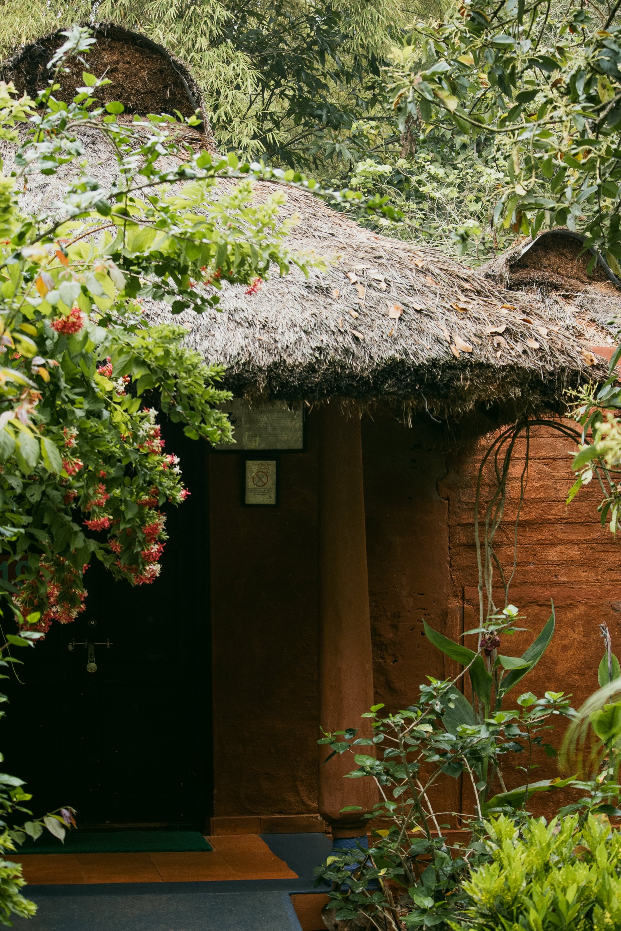 Red Earth Resort photo 28