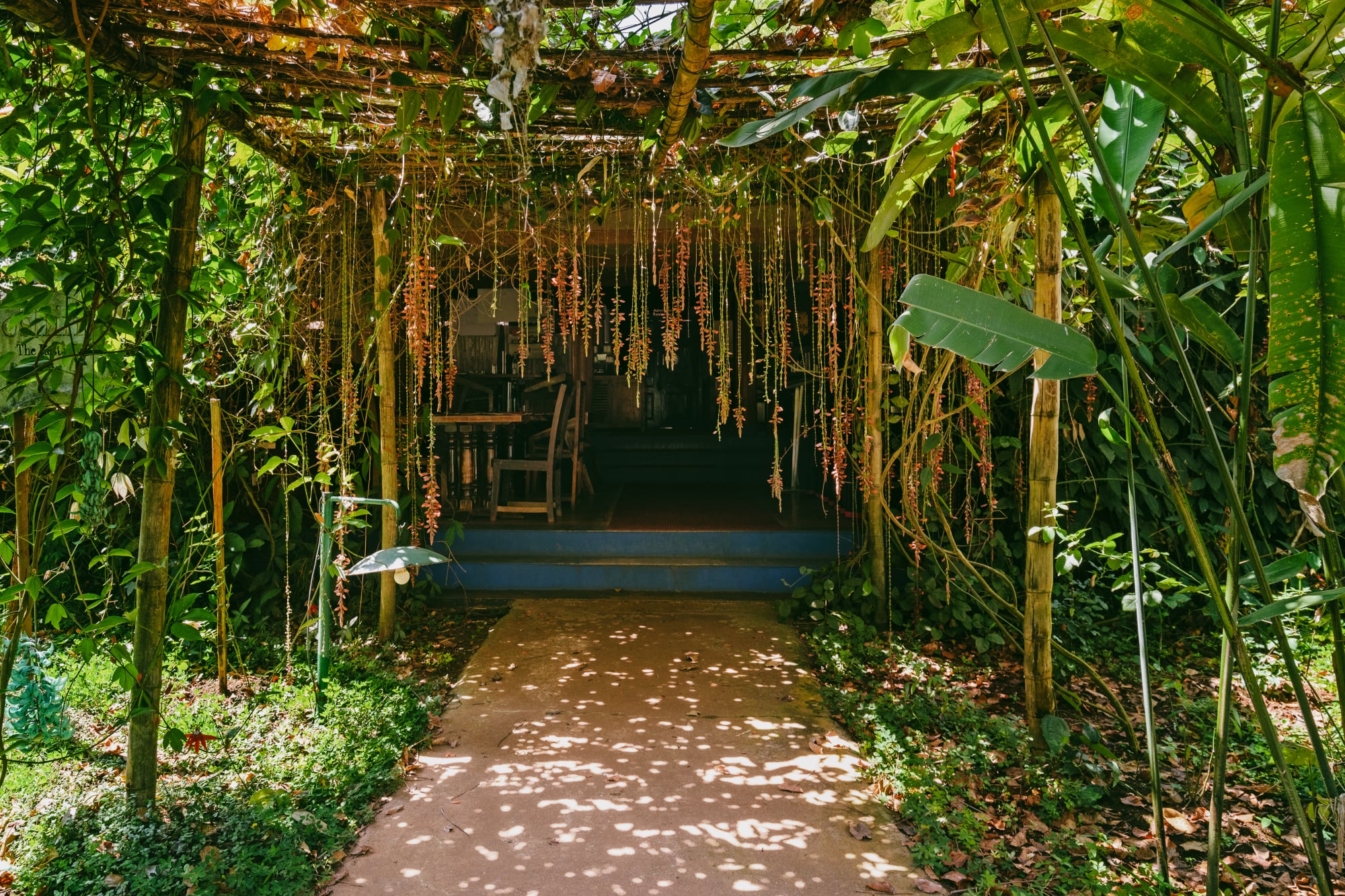 Red Earth Resort photo 39