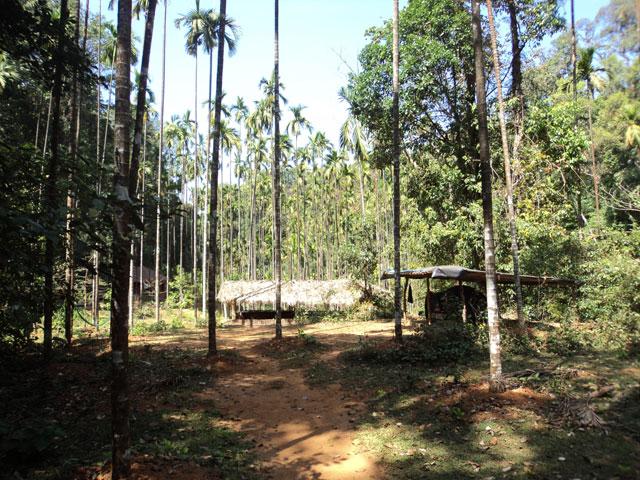 Adventure in Agumbe photo 24