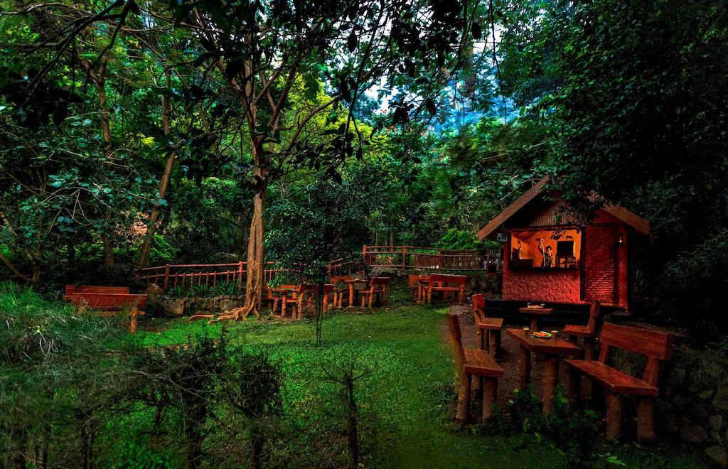 Kurumba Village Resort photo 22