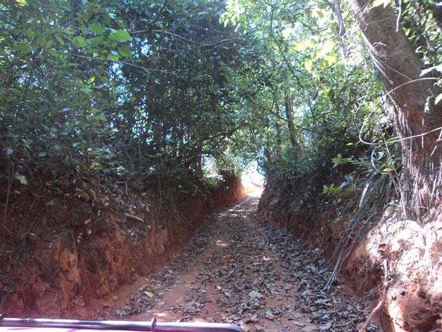 Adventure in Agumbe photo 26