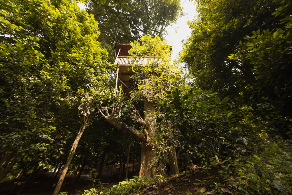 Kurumba Village Resort photo 56