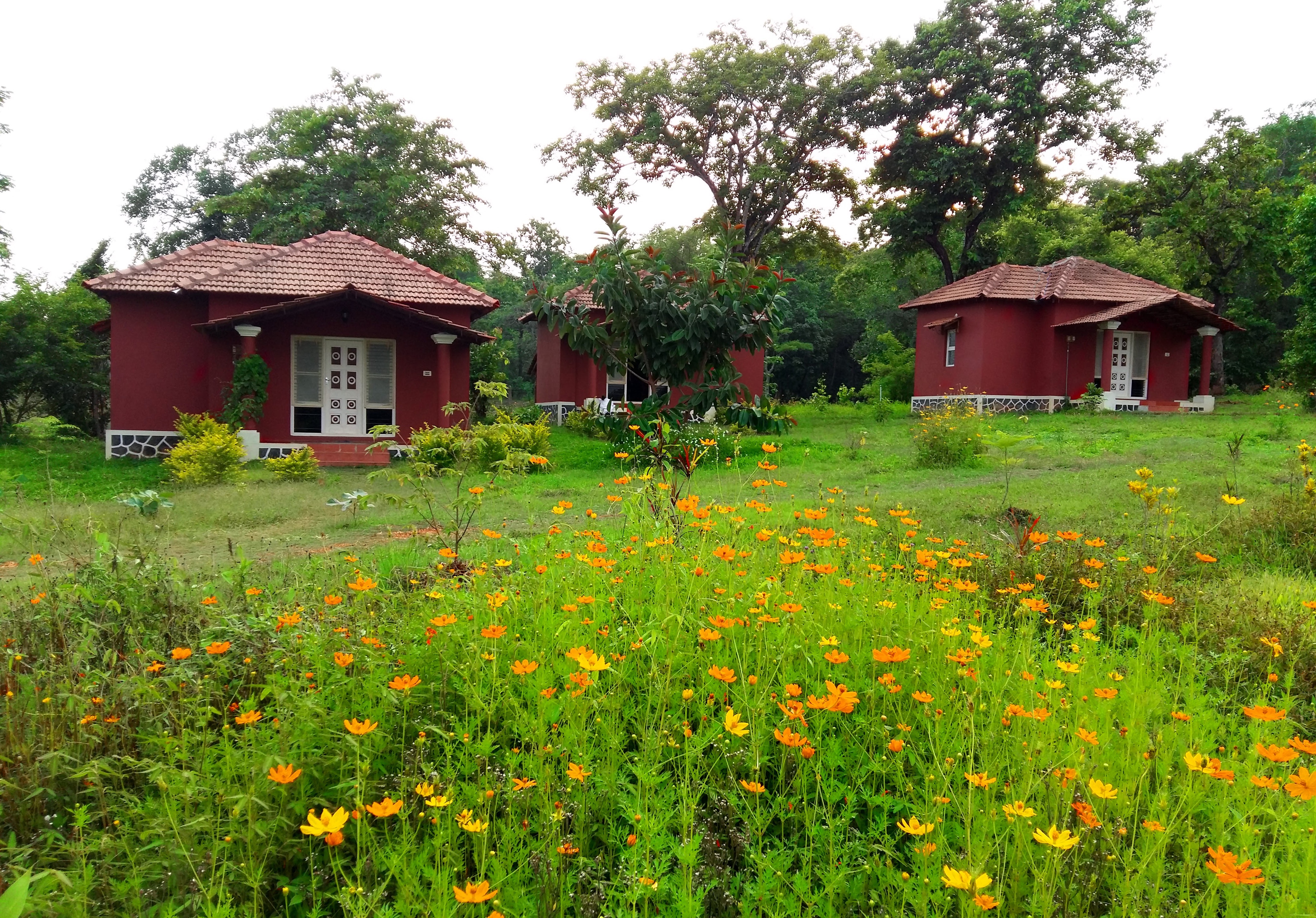 Dandeli Chalet Homestay photo 17