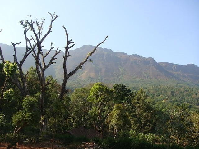 Coffee County Chikmagalur photo 3