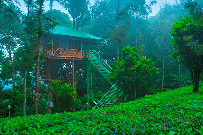 Dream Catcher Resort photo 6
