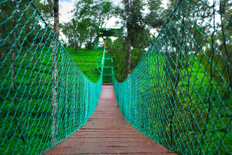 Dream Catcher Resort photo 9