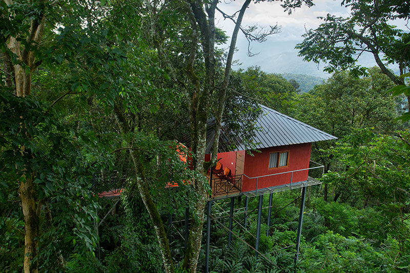 Dream Catcher Resort photo 19