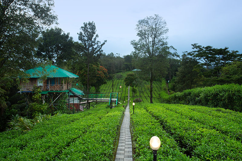 Dream Catcher Resort photo 22