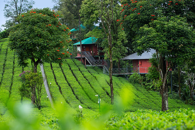 Dream Catcher Resort photo 24