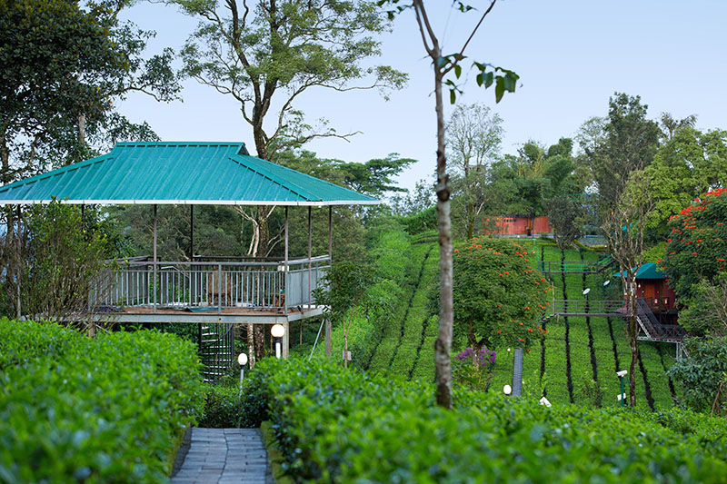 Dream Catcher Resort photo 32