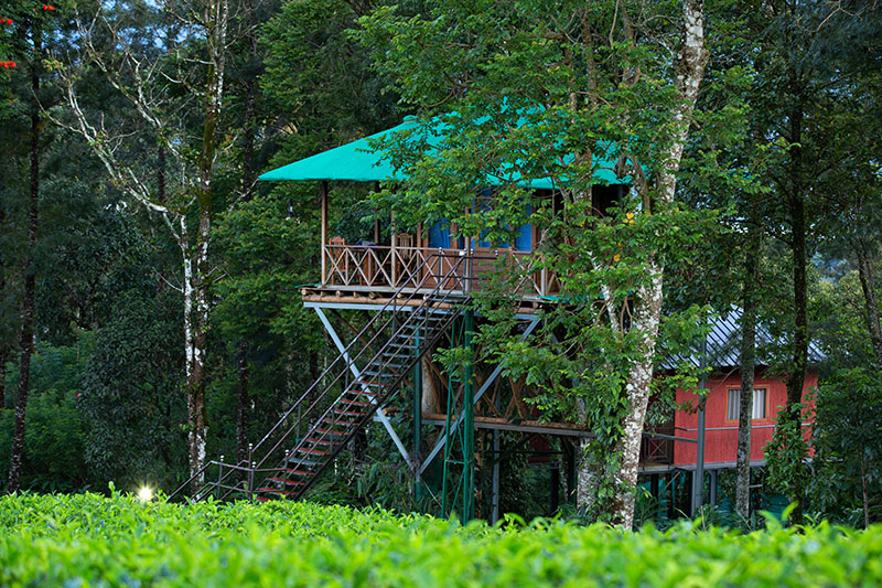 Dream Catcher Resort photo 34