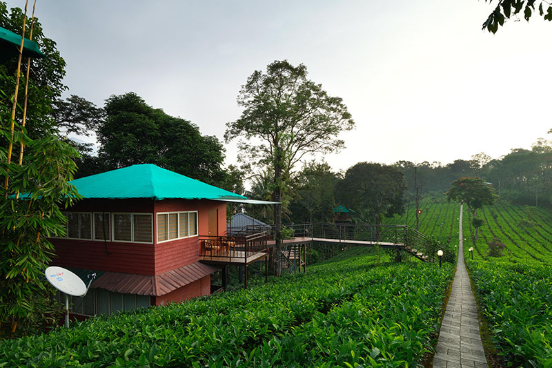 Dream Catcher Resort photo 42