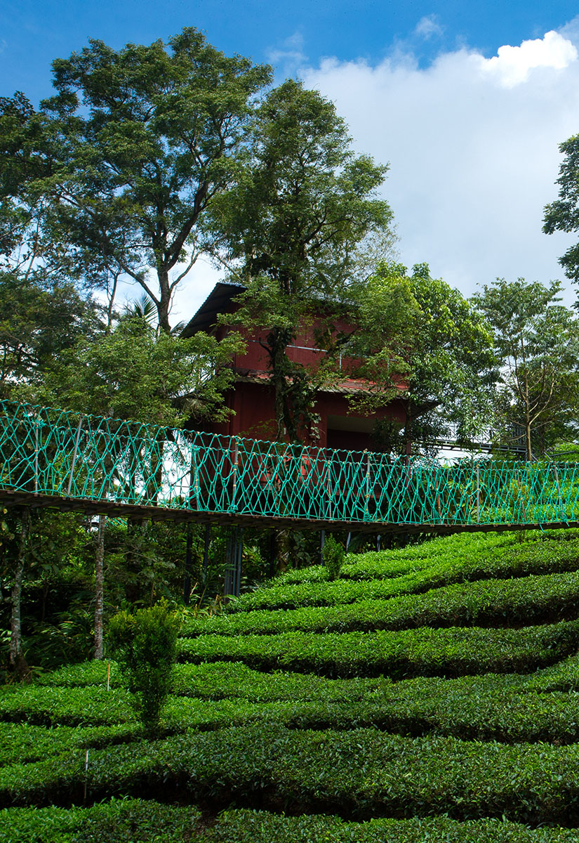 Dream Catcher Resort photo 46