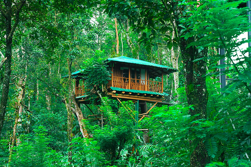 Dream Catcher Resort photo 52
