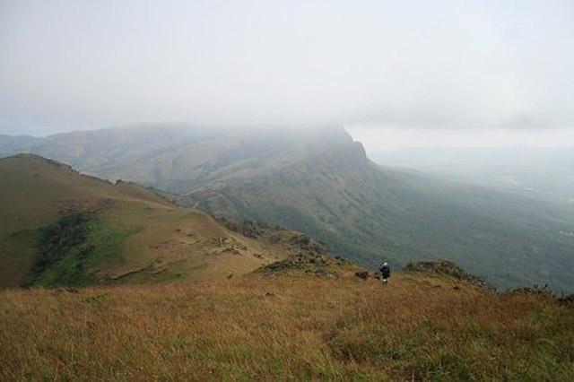Good Earth Homestay photo 6