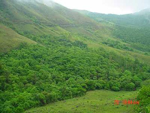 Good Earth Homestay photo 8