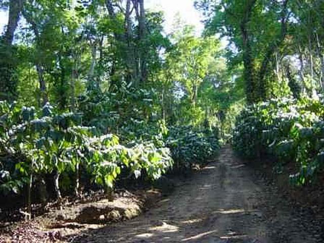 Good Earth Homestay photo 9