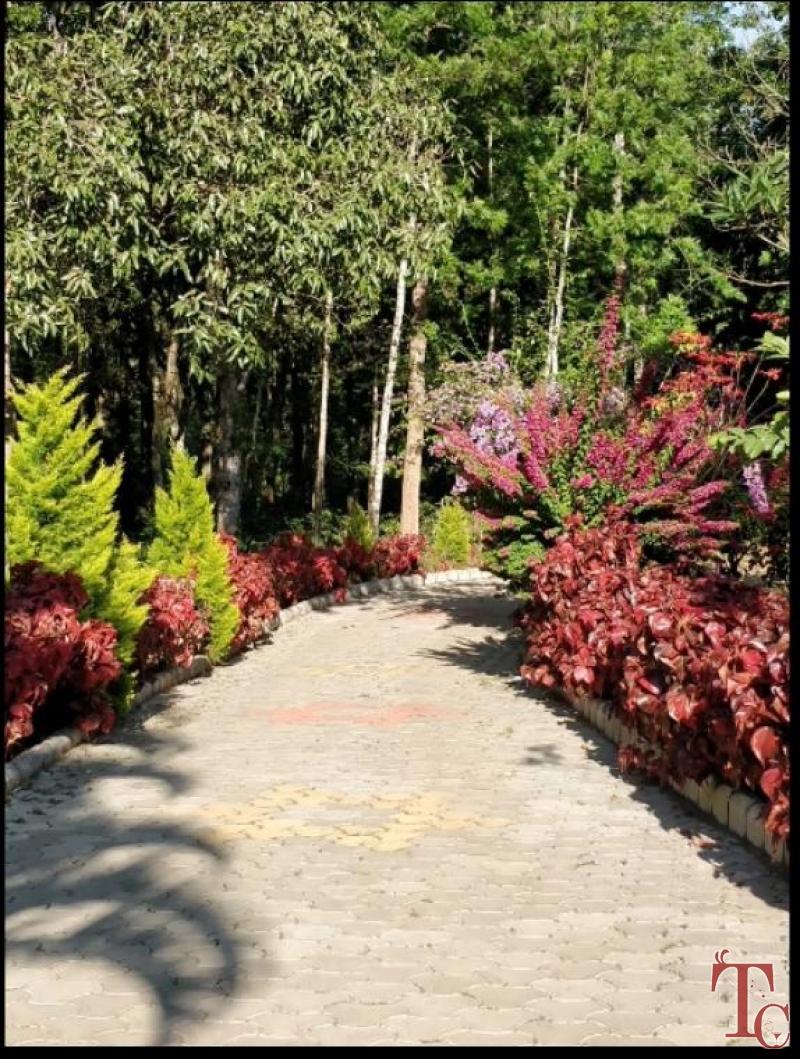 Good Earth Homestay photo 15