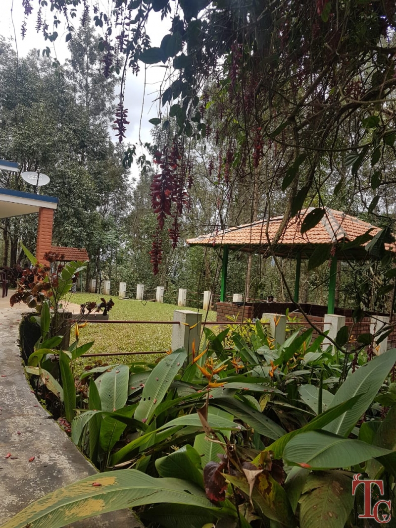 Good Earth Homestay photo 26