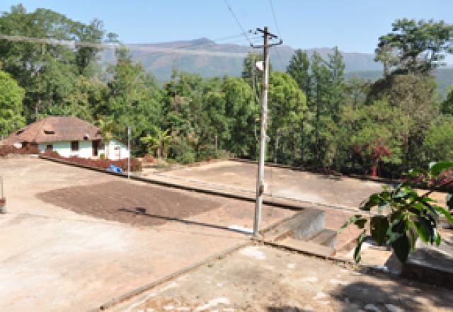Good Earth Homestay photo 31