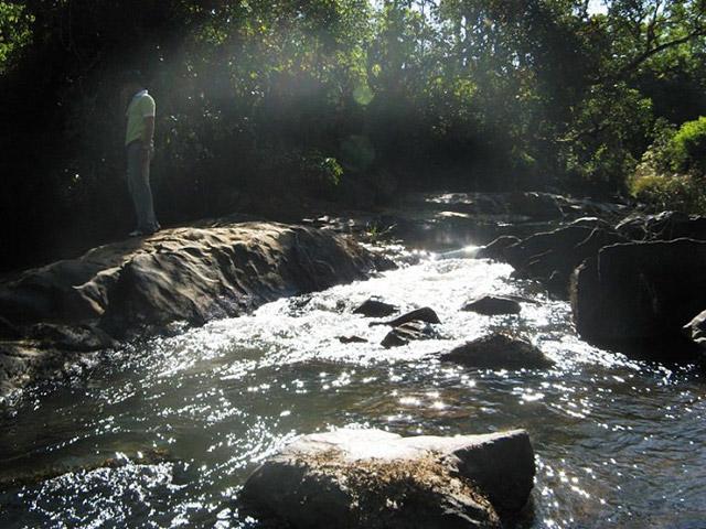 Navilubetta Homestay photo 9