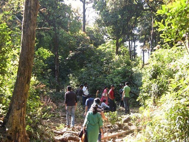 Navilubetta Homestay photo 10