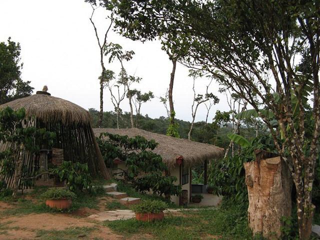 Navilubetta Homestay photo 12