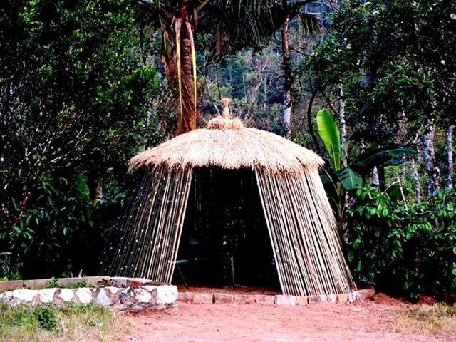 Navilubetta Homestay photo 22