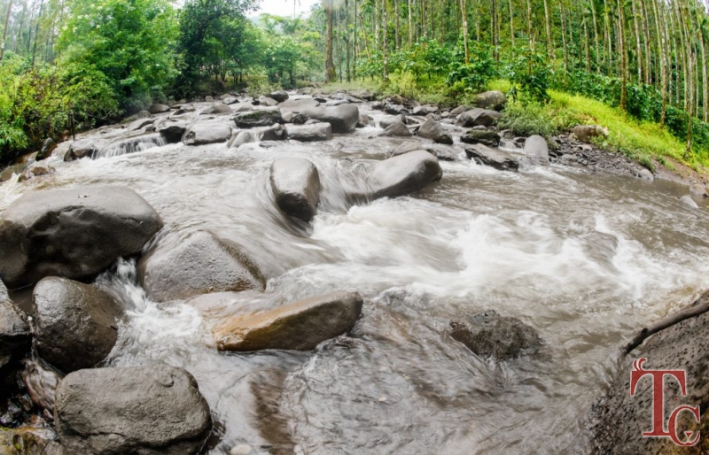 Nature Nirvana Homestay photo 3