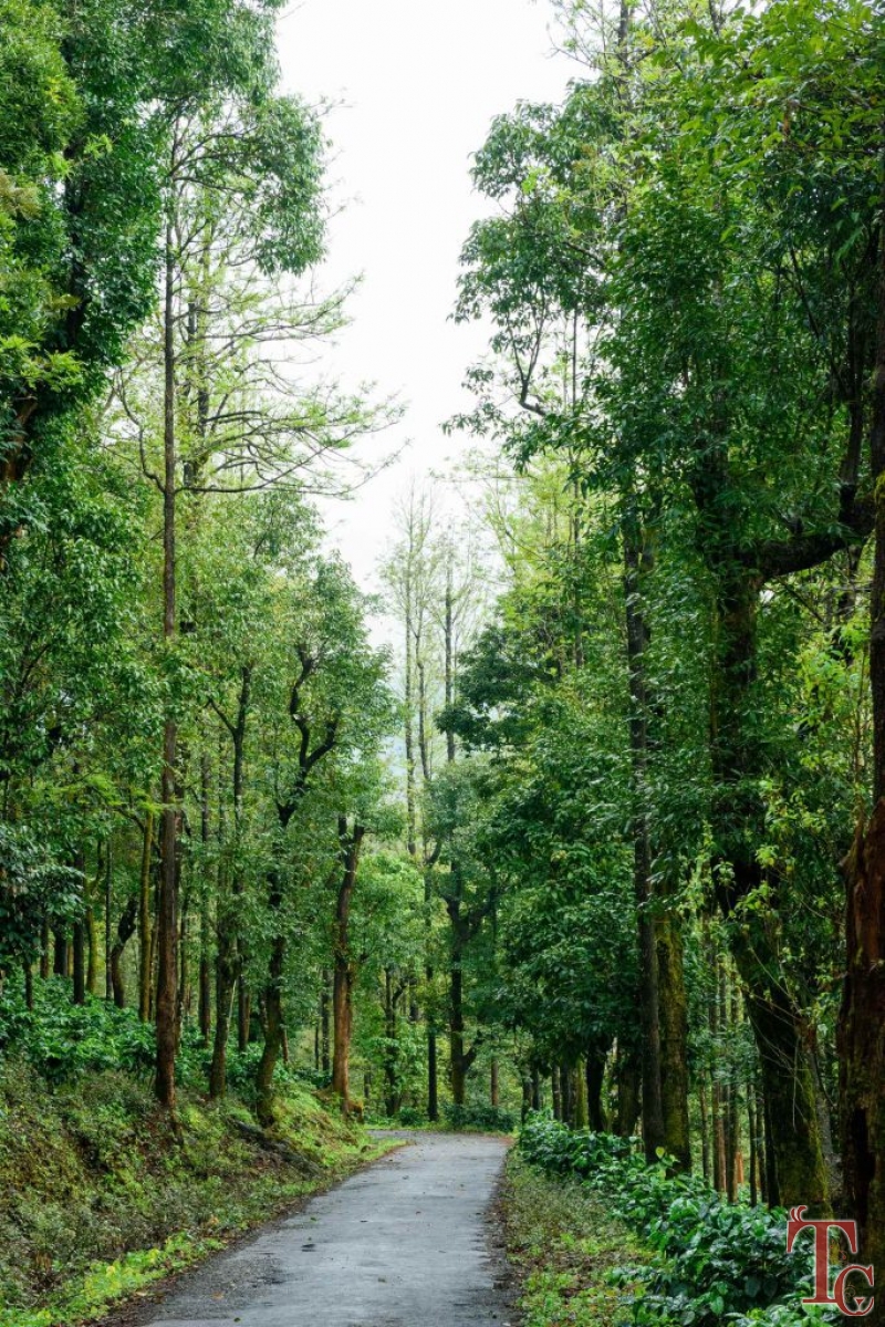 Nature Nirvana Homestay photo 8
