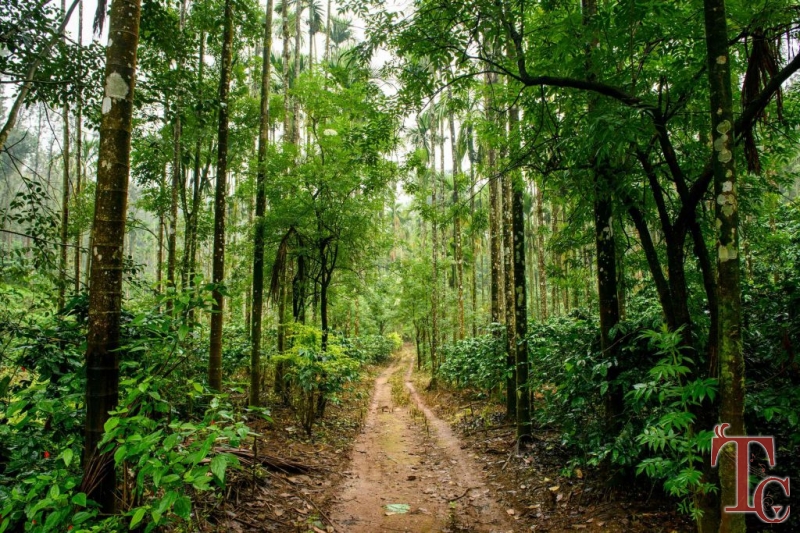 Nature Nirvana Homestay photo 11