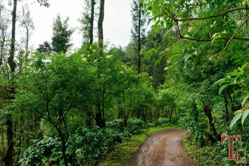 Nature Nirvana Homestay photo 16