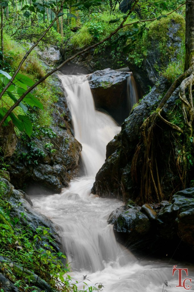 Nature Nirvana Homestay photo 20