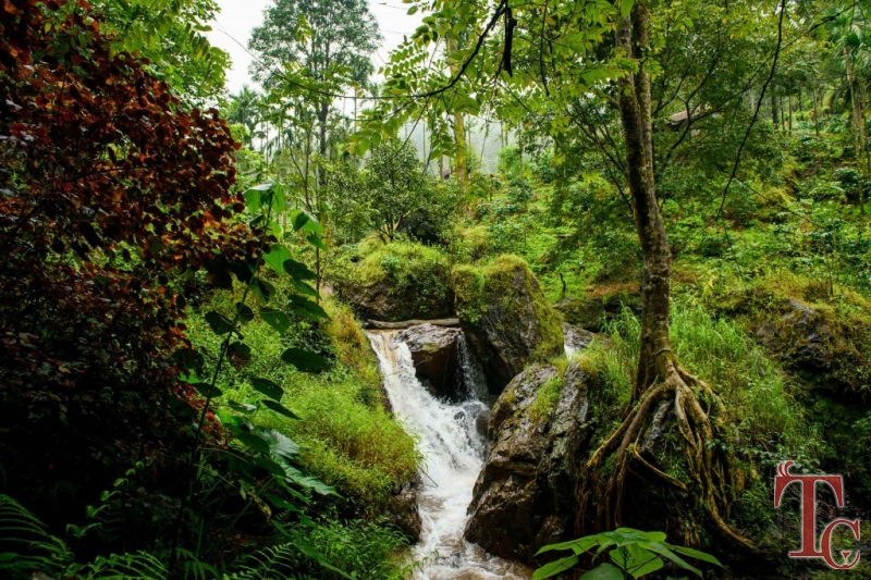 Nature Nirvana Homestay photo 21