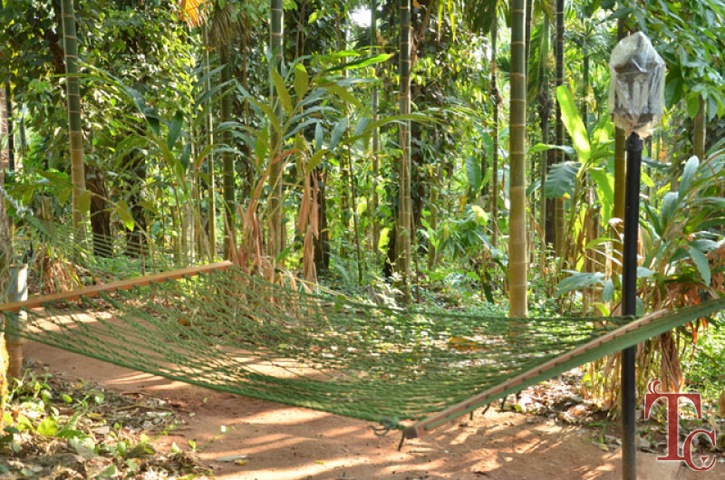 Bananki Homestay photo 14