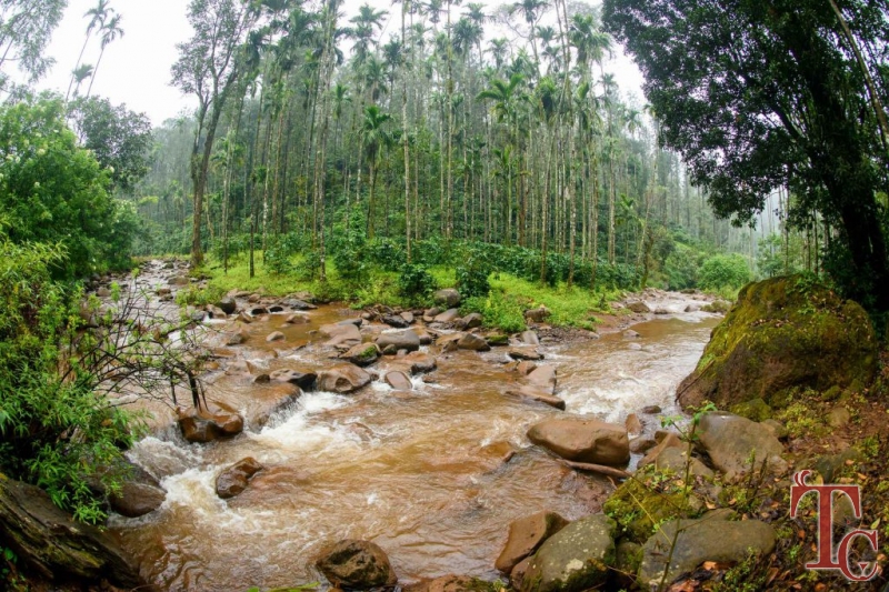 Nature Nirvana Homestay photo 29
