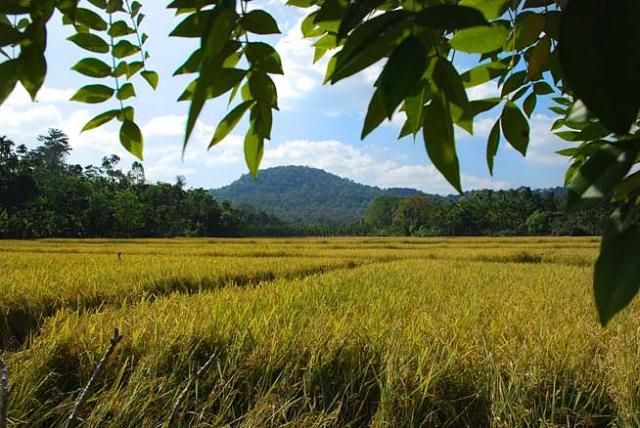 River Woods Homestay photo 4