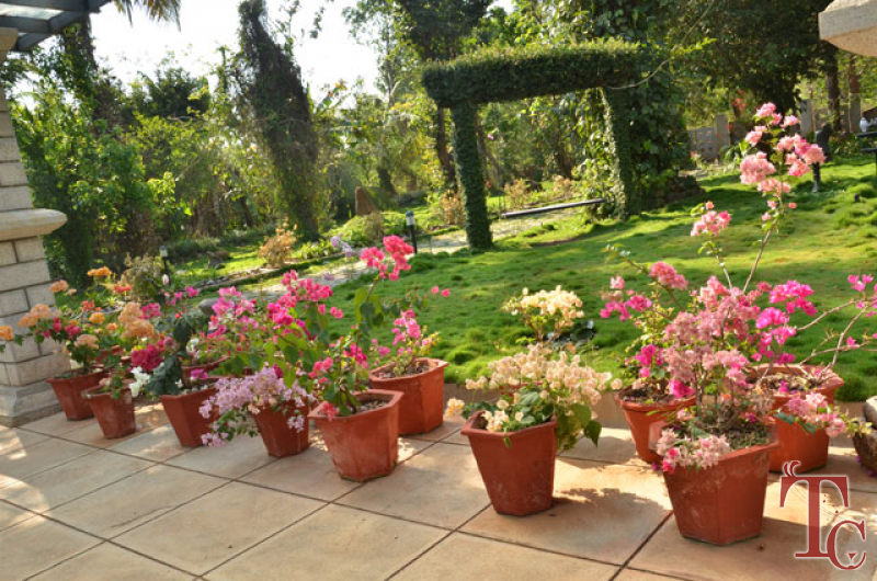 Bananki Homestay photo 15