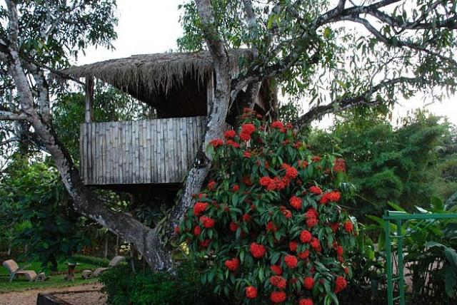River Woods Homestay photo 9