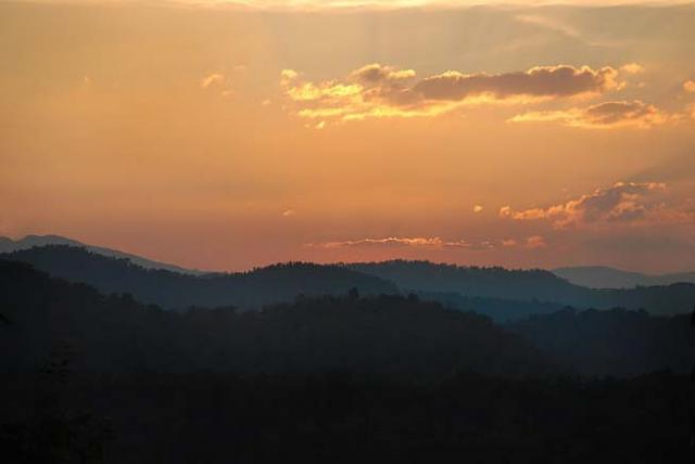River Woods Homestay photo 21