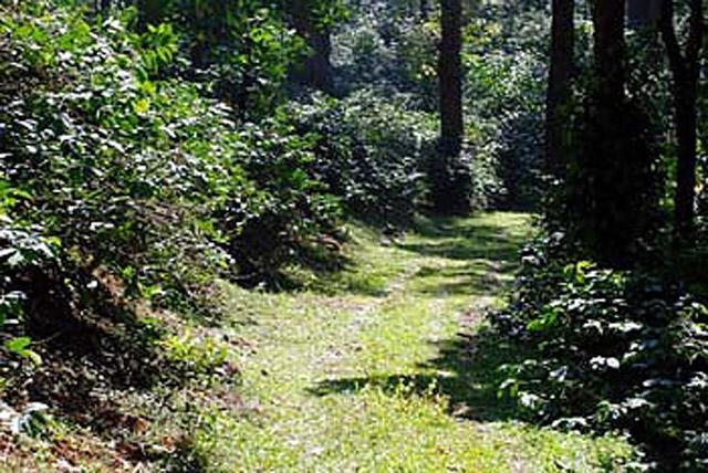 Woodway Homestay photo 2