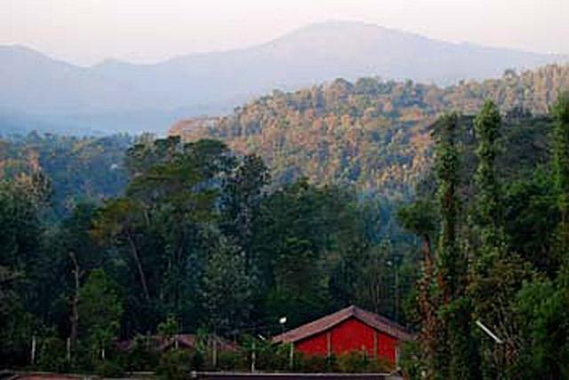 Woodway Homestay photo 10