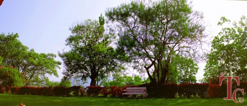 Prakruthi Homestay photo 42