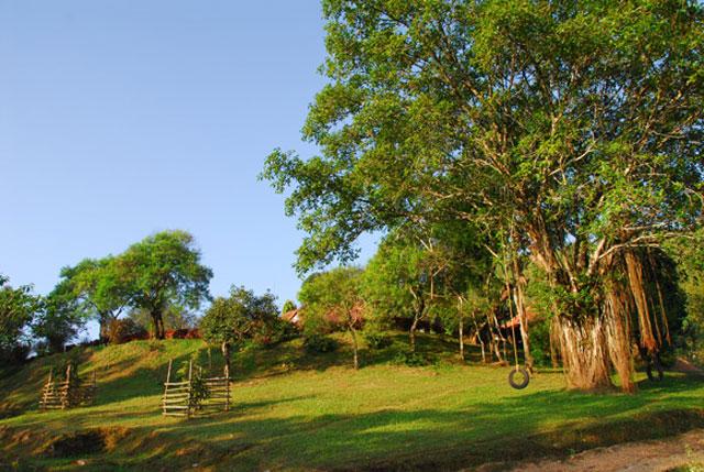 Prakruthi Homestay photo 50