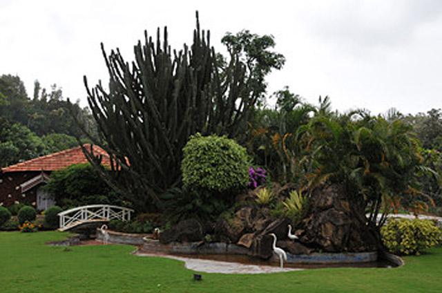 Thippanahalli Homestay photo 10