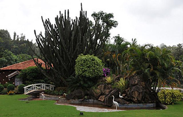 Thippanahalli Homestay photo 17