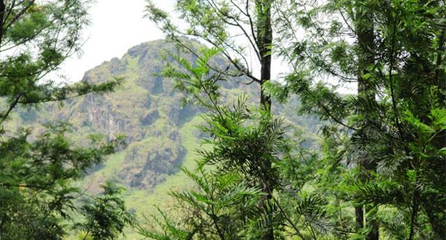 Thotadahalli Homestay photo 2